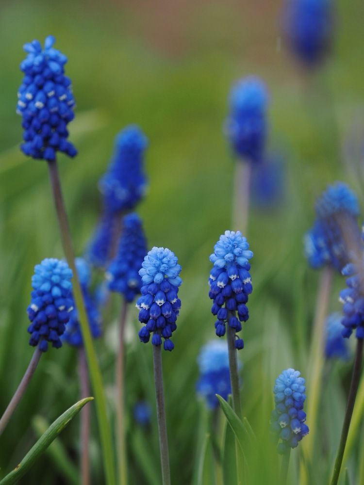 Photograph by Юлия Герман