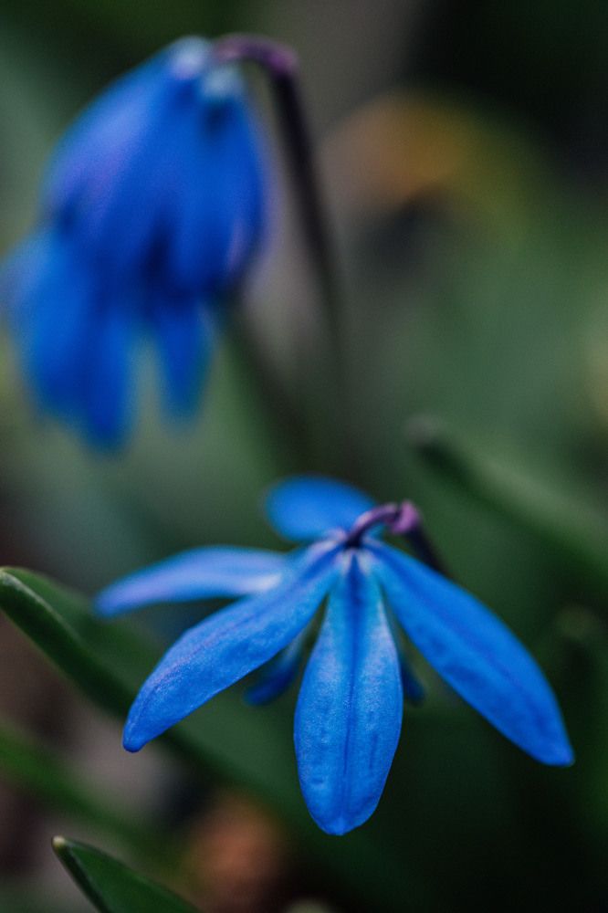 Photograph by Юлия Герман