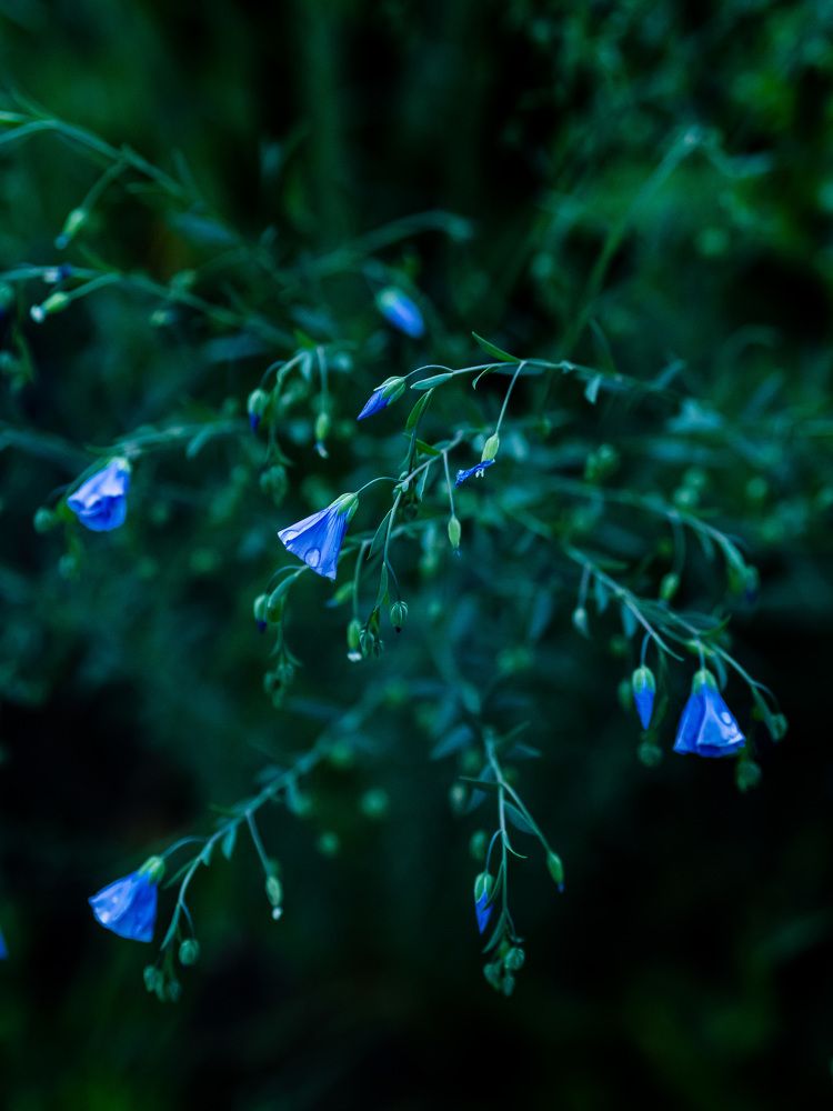 Photograph by Юлия Герман