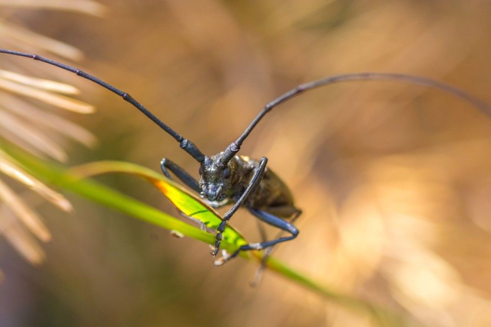 Photograph by Жданов Дмитрий