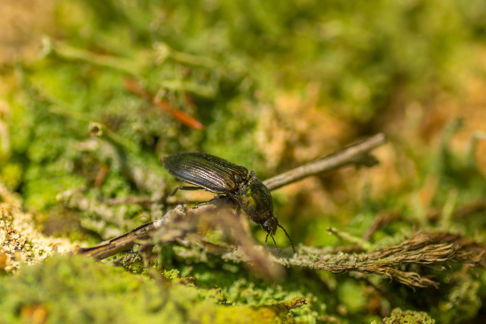 Photograph by Жданов Дмитрий