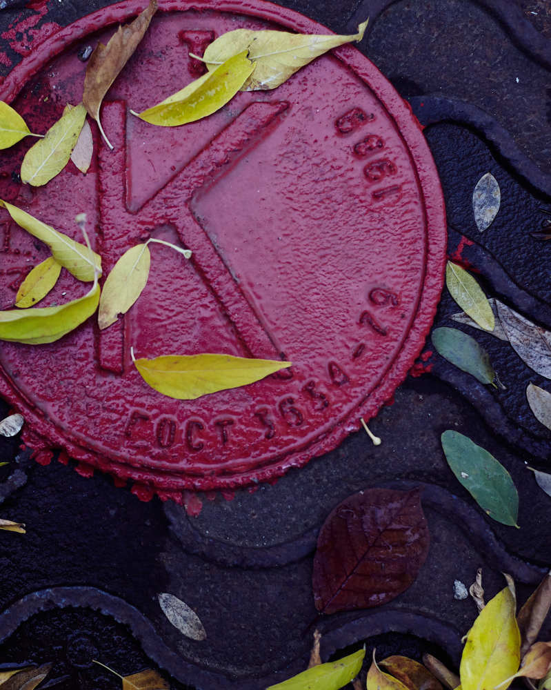 Photograph by Ольга Филатова