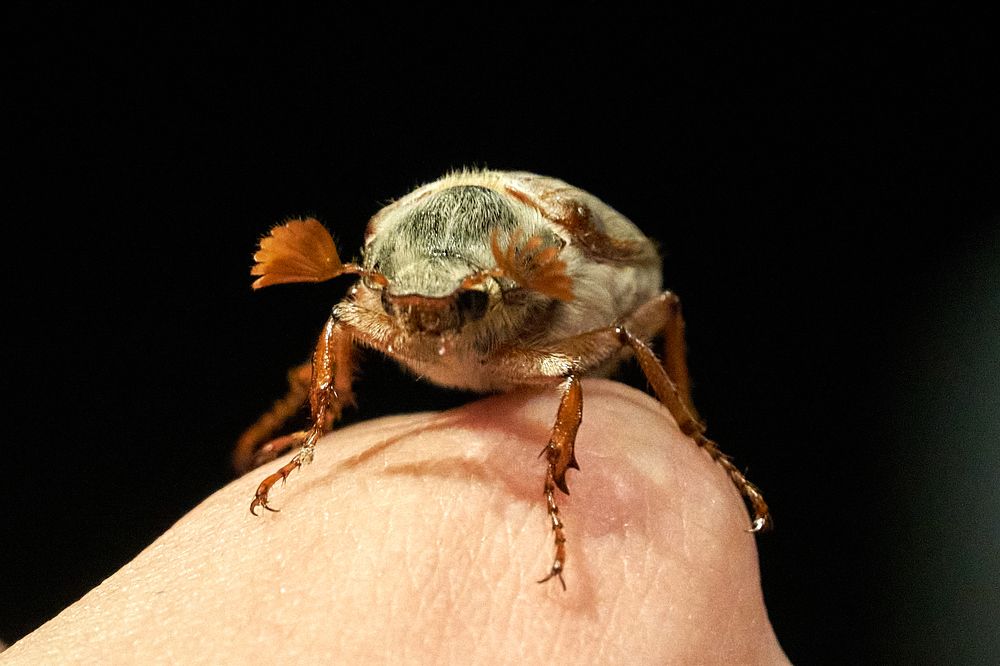 Photograph by Андрей Валерьевич