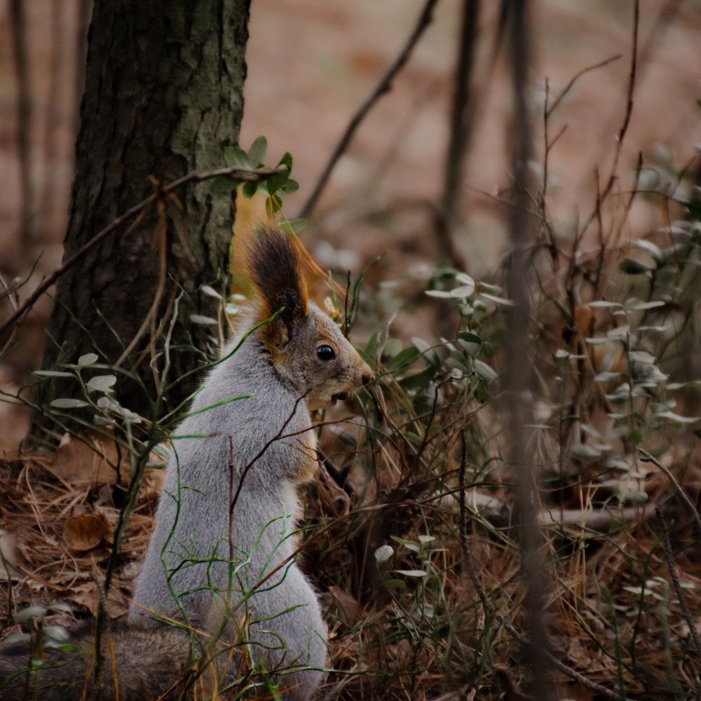 Photograph by Ярослав Семенов