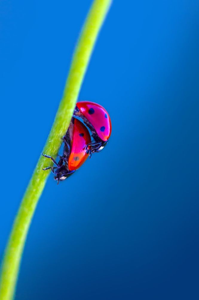 Photograph by Matko Matkovic