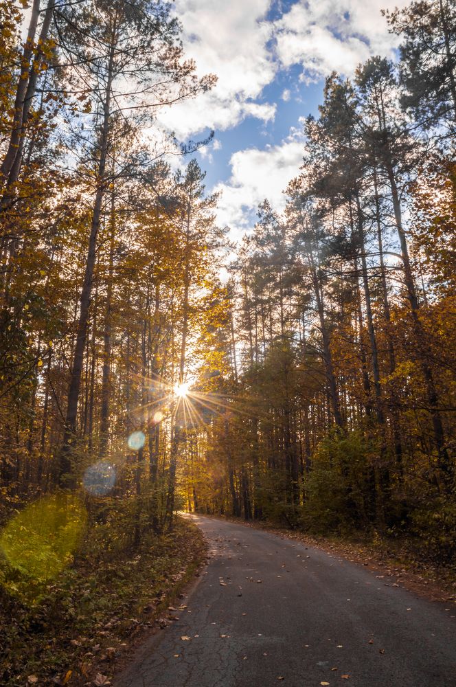 Photograph by Артём Амельянчик