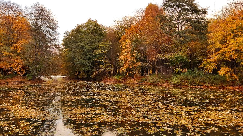 Photograph by Дмитрий