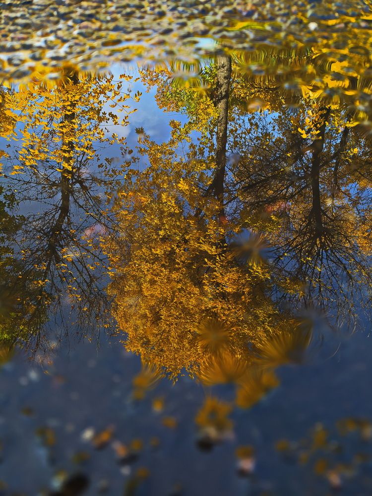 Photograph by Maryna Kukhtsikava