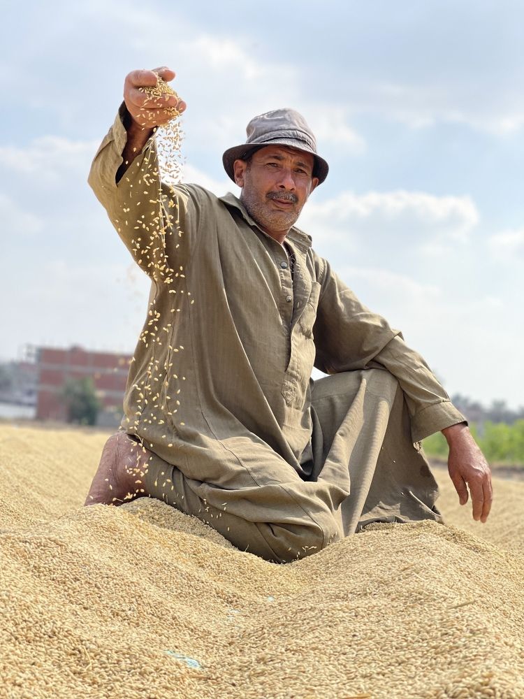 Photograph by  loai zedan