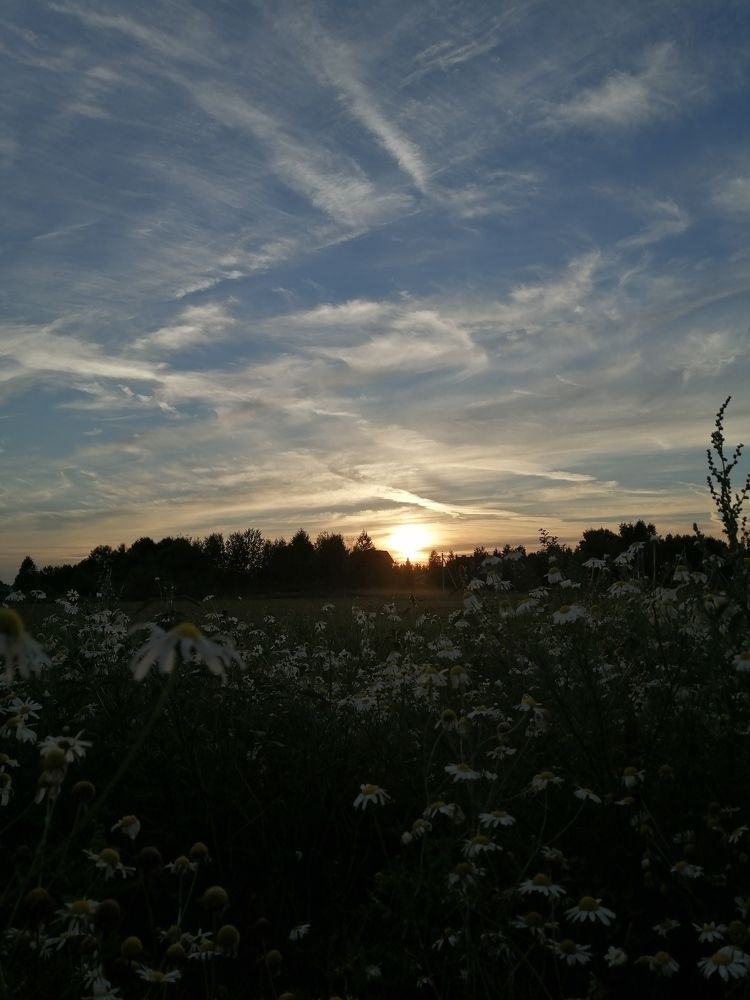 Photograph by Олеся Парфенова