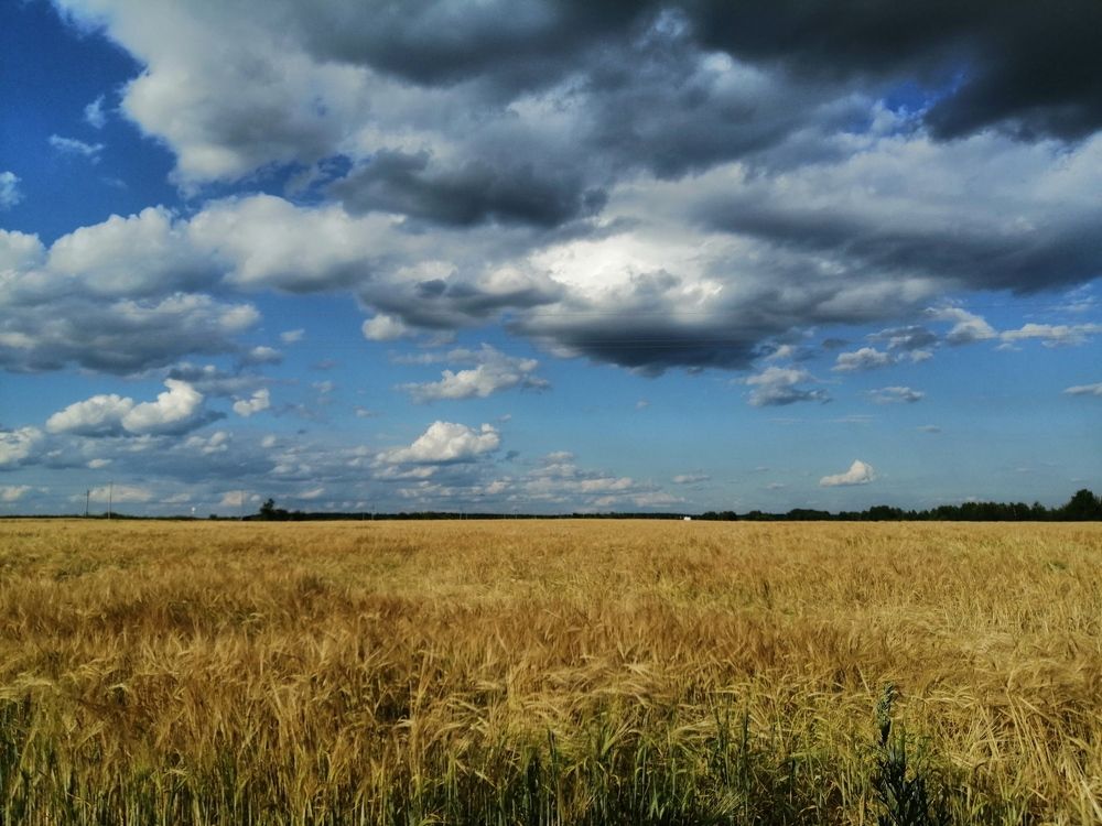 Photograph by Олеся Парфенова