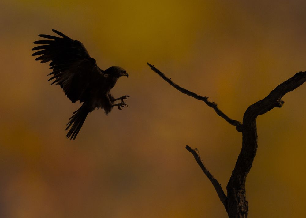 Photograph by Miguel Angel Berbegal Vazquez