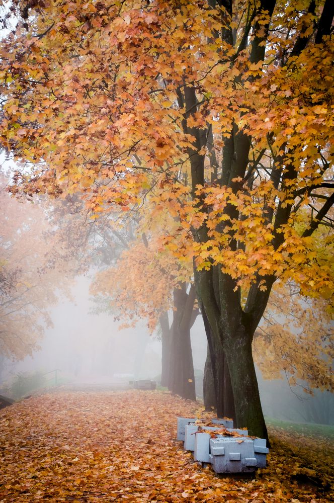 Photograph by Мария Купревич