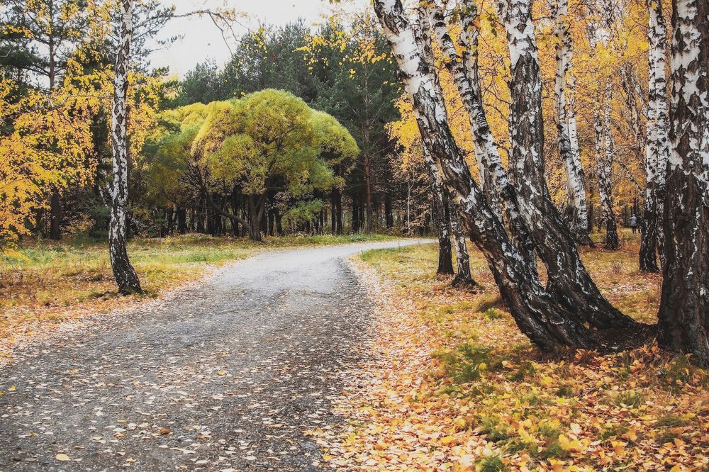 Октябрь крадётся по дорожкам