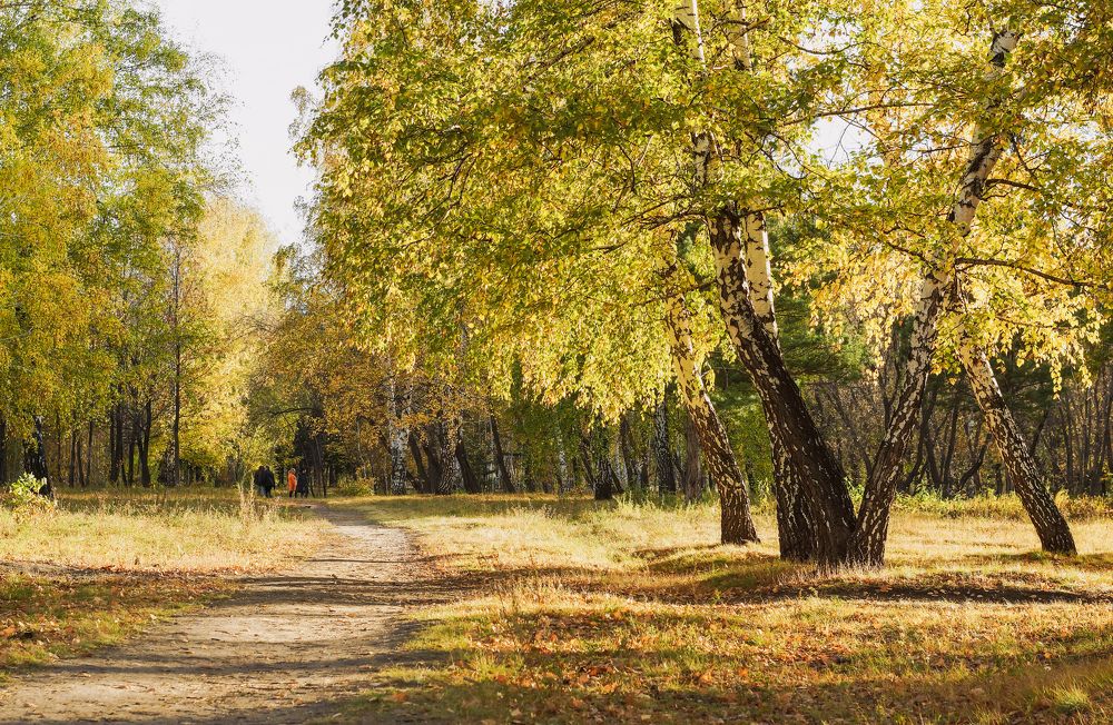 Яркий, солнечный денёк