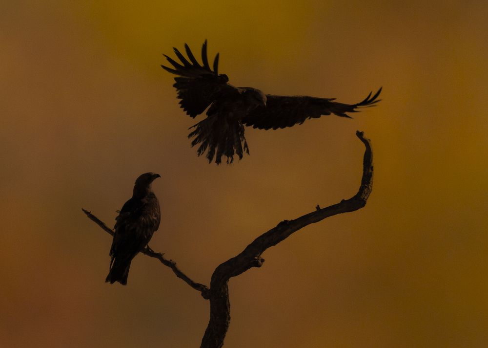 Photograph by Miguel Angel Berbegal Vazquez