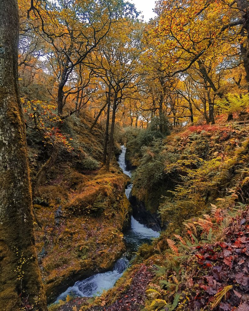 Photograph by Michael Deligan