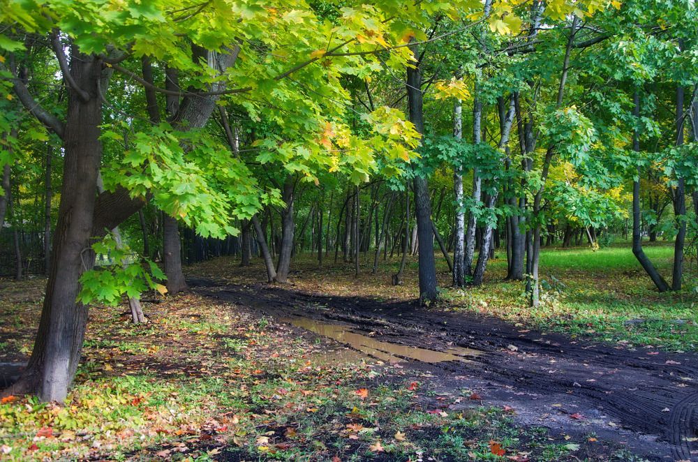 Photograph by Константин Мишнаевский