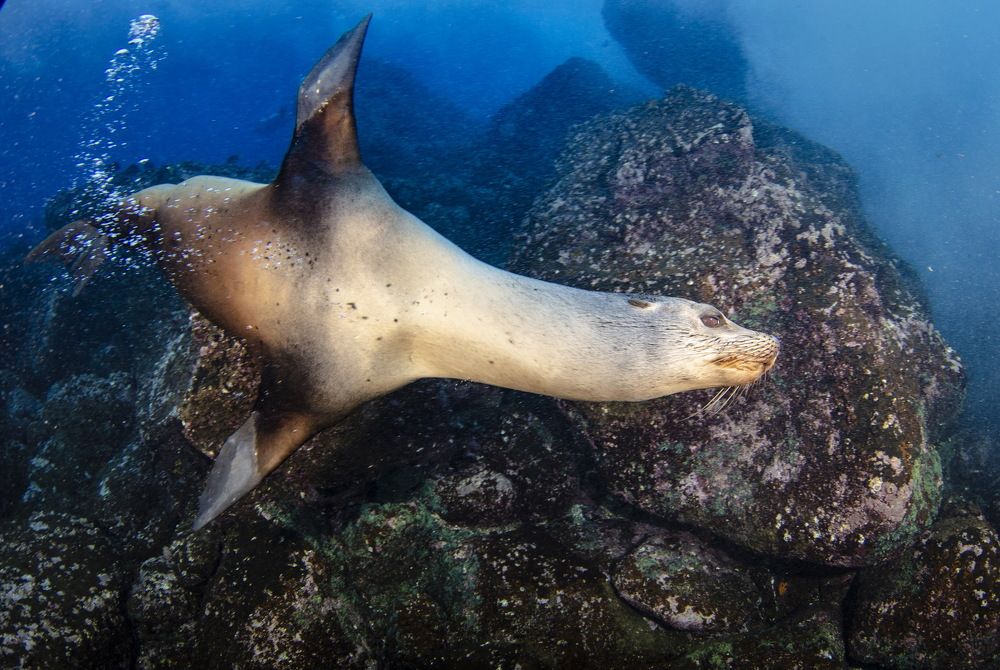 Photograph by Pavel Osada