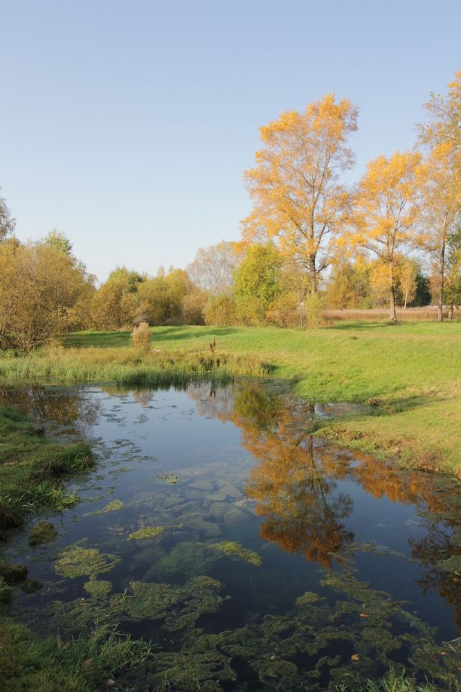 Photograph by Тимофей Петров