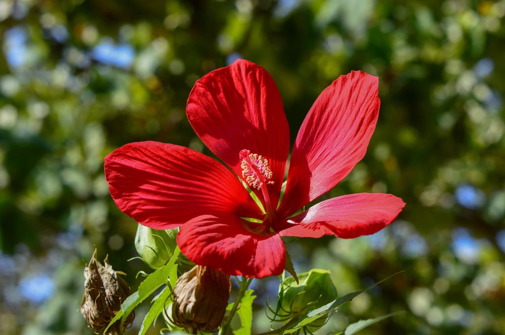 Photograph by Екатерина Казарцева