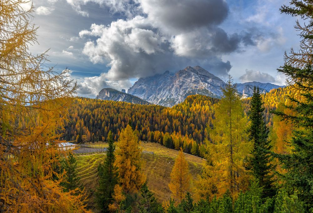 Фотография автора Ioana Crisan