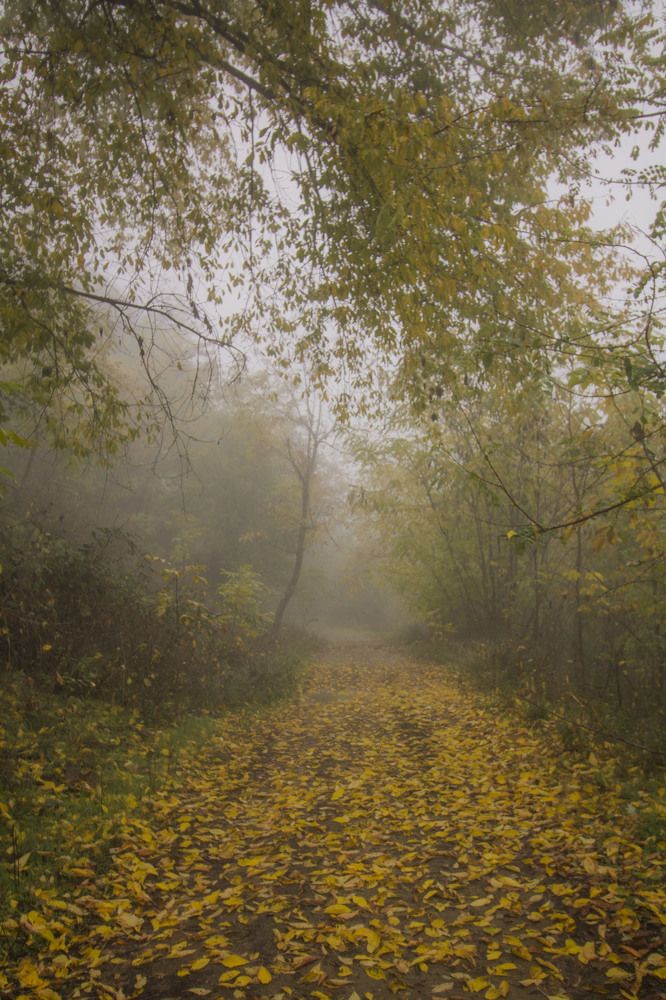 Photograph by iliya levkov