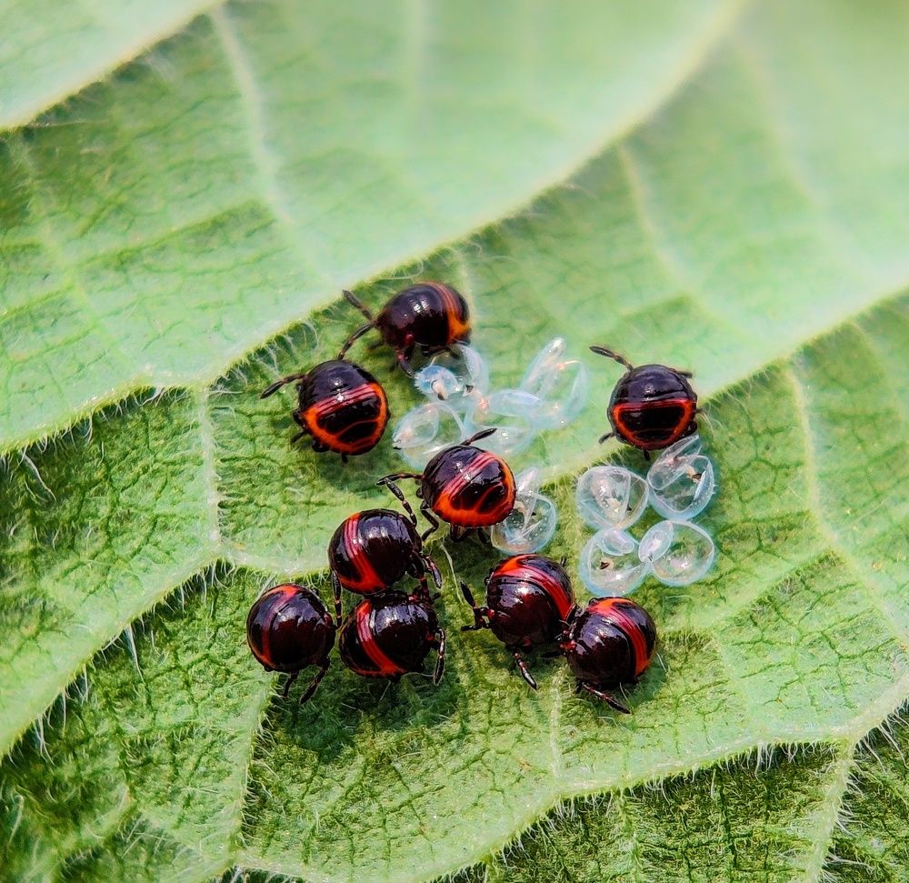 Photograph by SAIKAT PAL