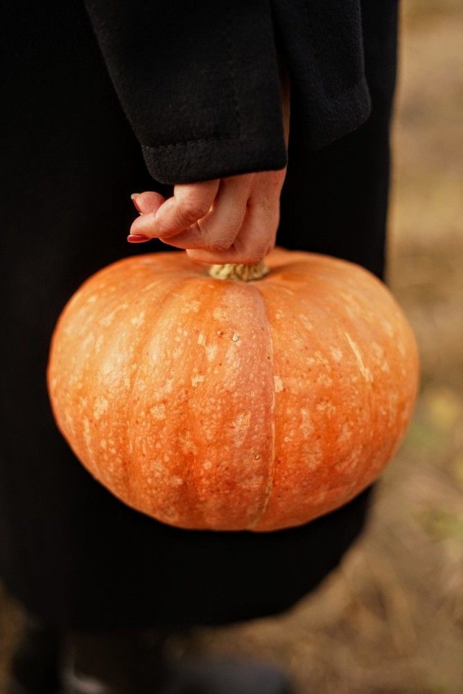 Фотография автора Наталья