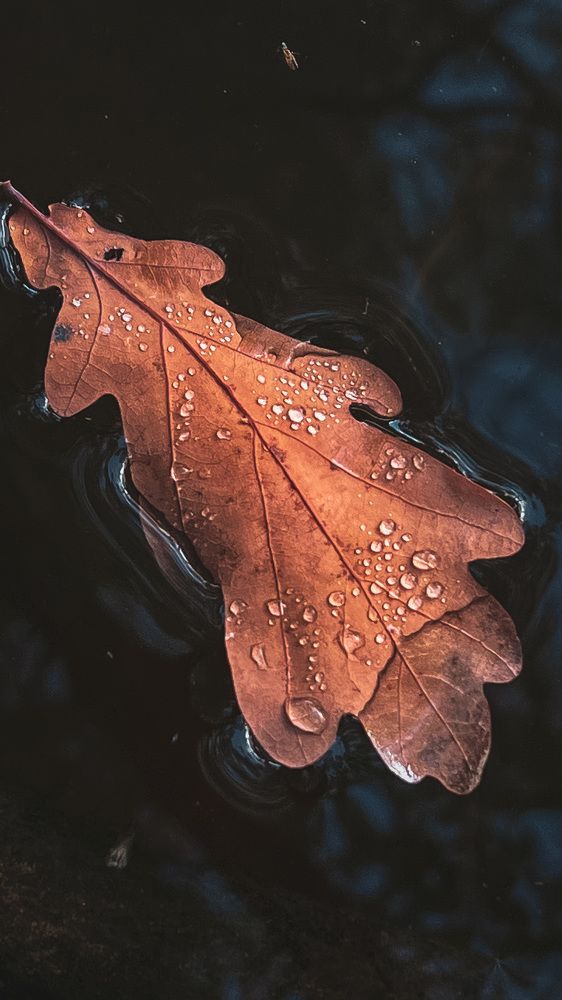 Photograph by Надежда