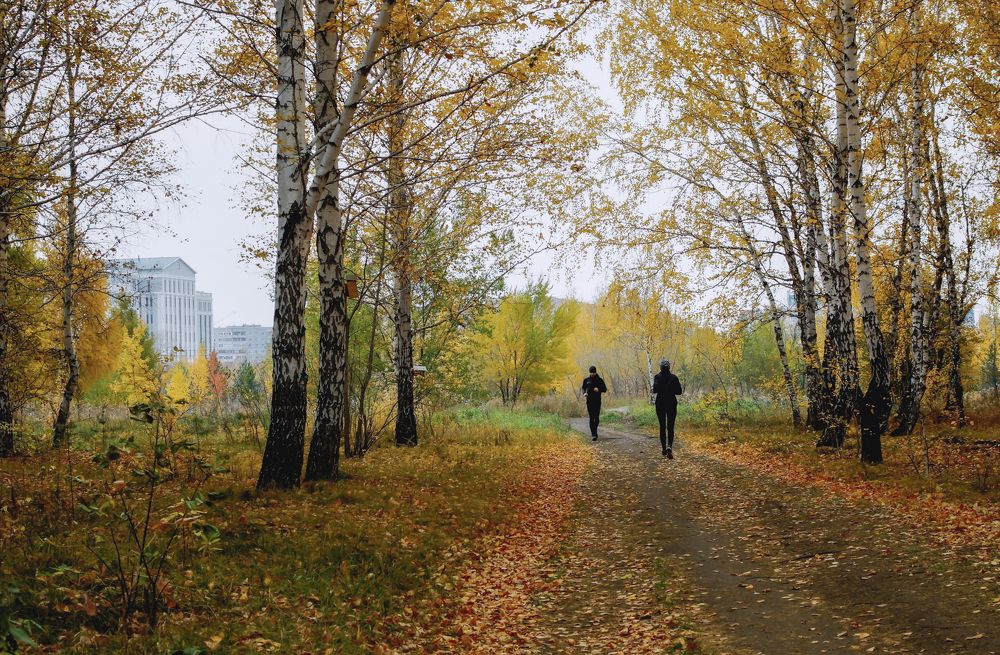 Осенний марафон