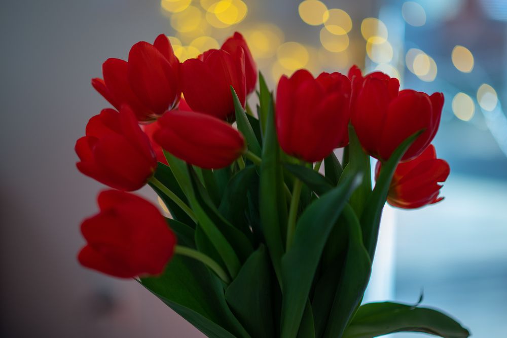 Photograph by Anna Vlasova