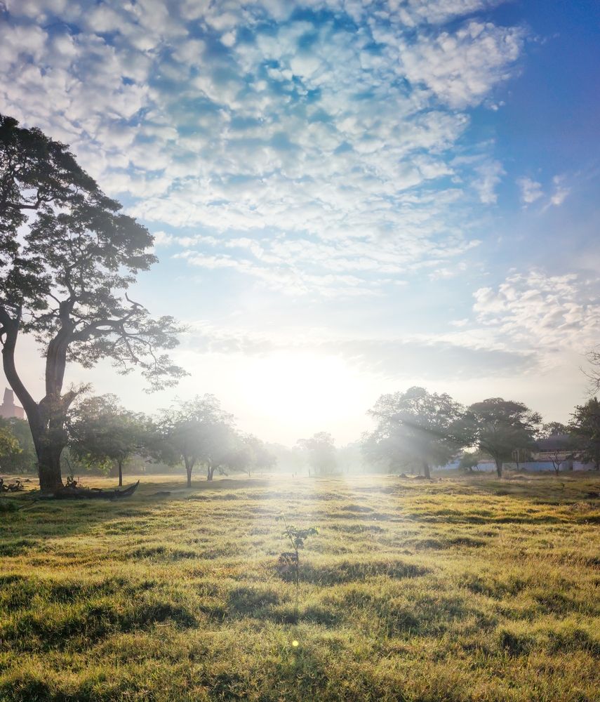 Photograph by Suranjith Jayawardhana