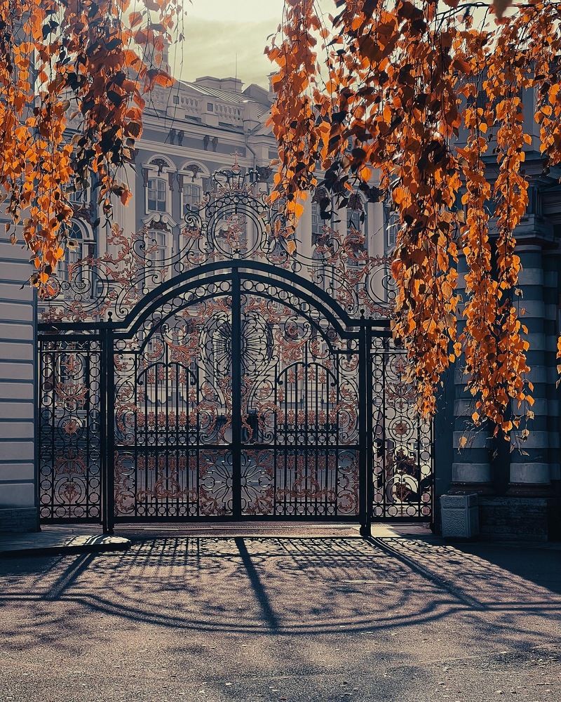 Photograph by Надежда