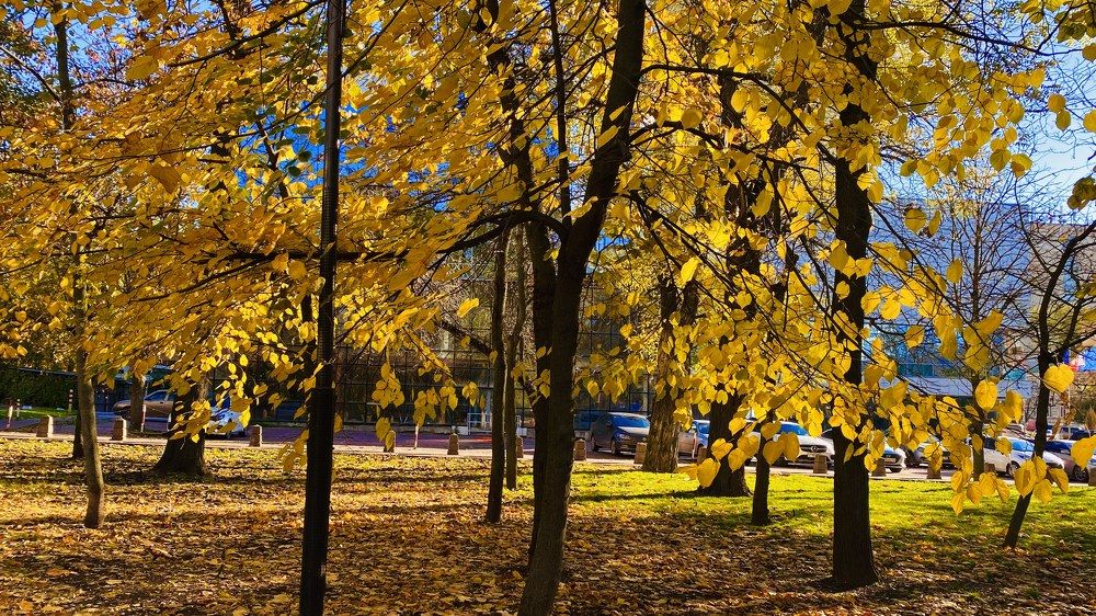 Photograph by Сергей Смирнов