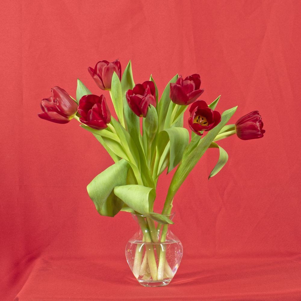 Photograph by Николай Чичерин