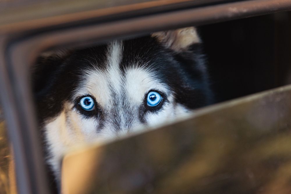 Photograph by Илья Юфа