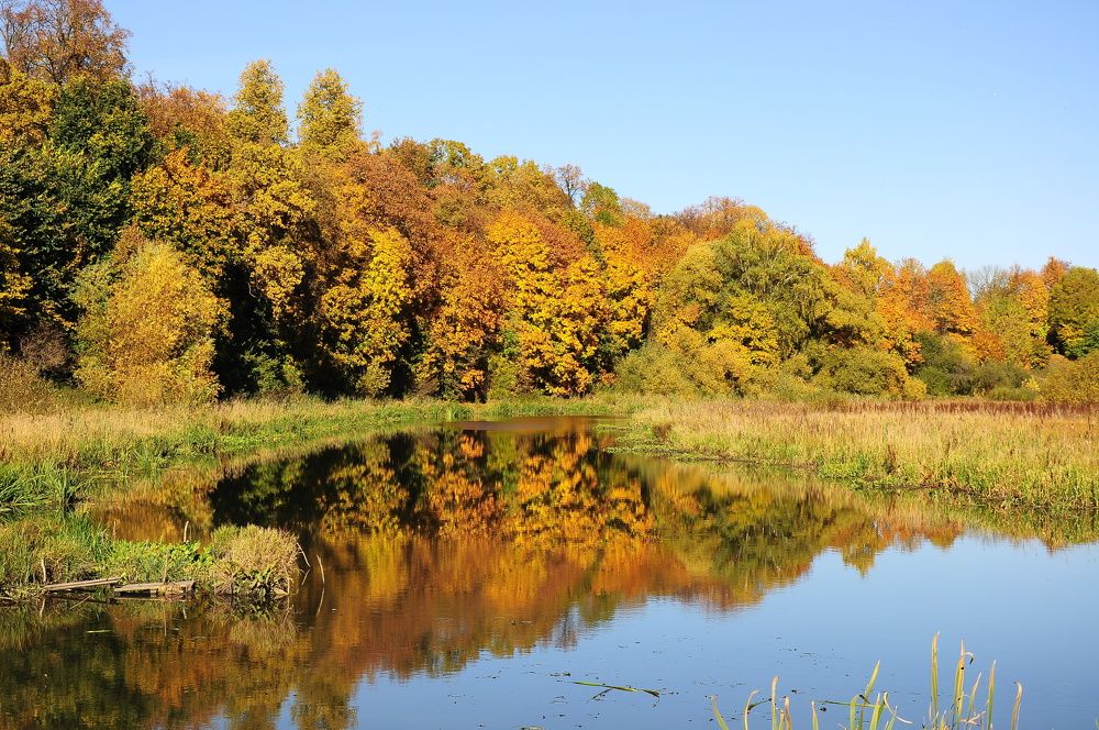 Фотография автора Антип