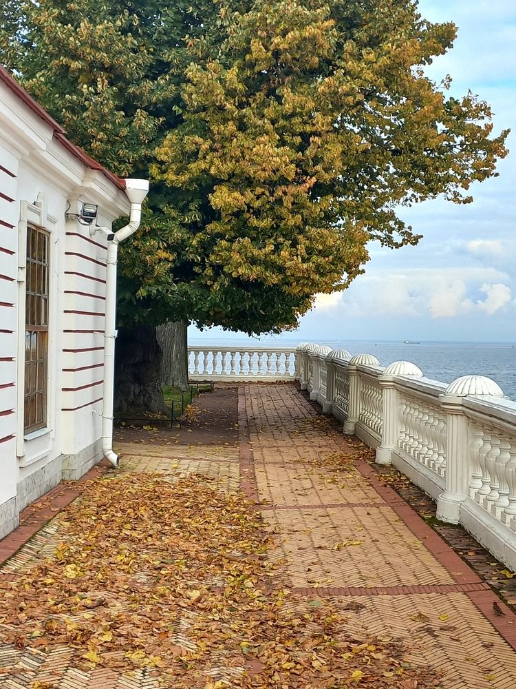 Photograph by Мария Тихомирова