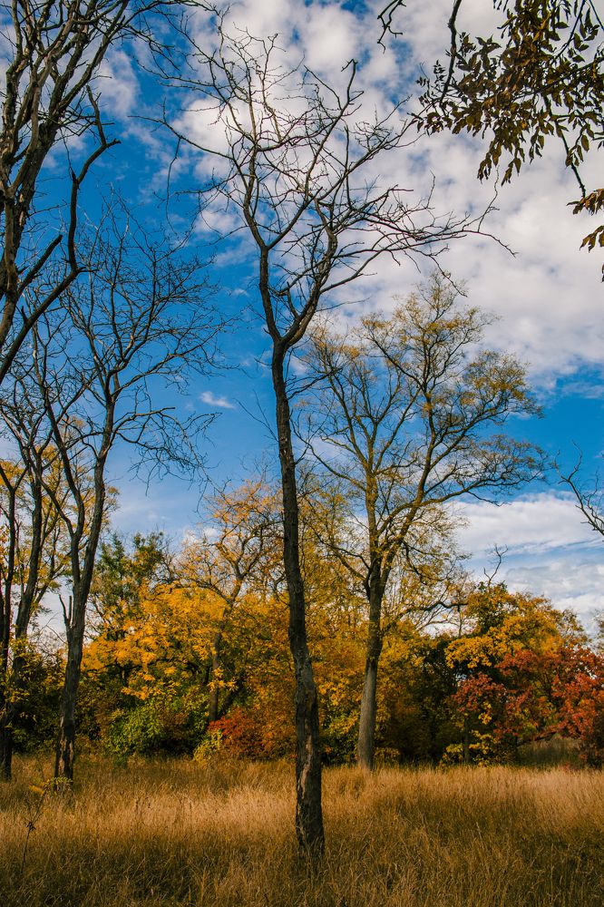 Photograph by Алексей Марченков