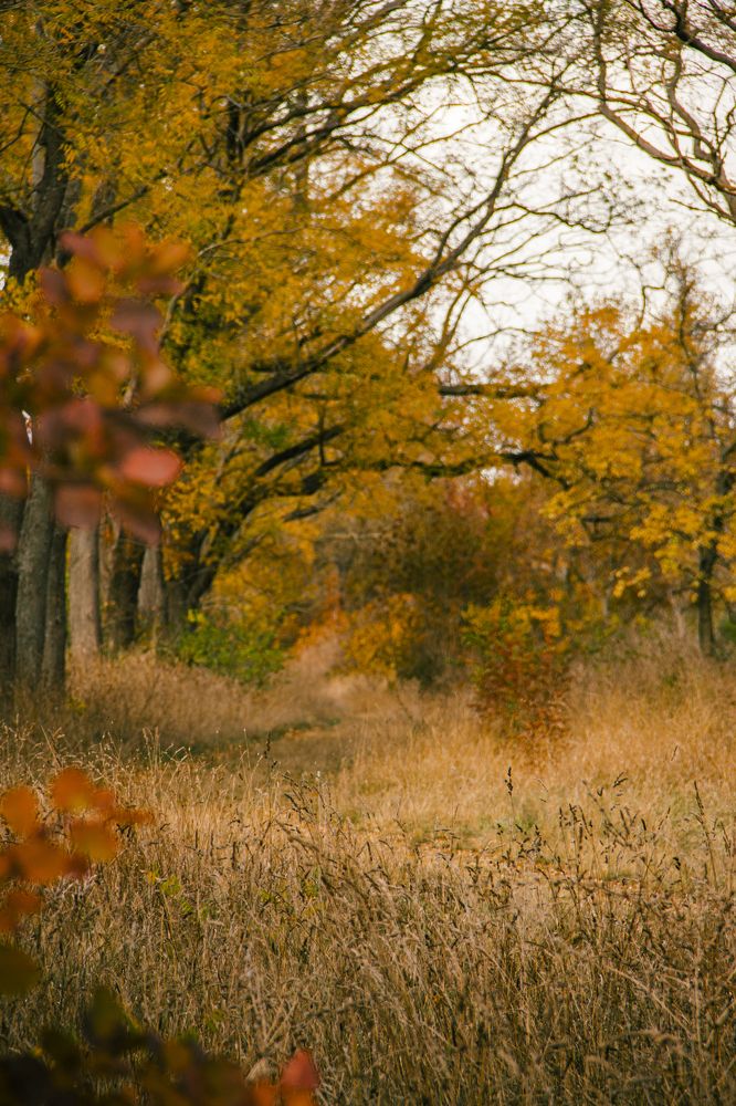 Photograph by Алексей Марченков