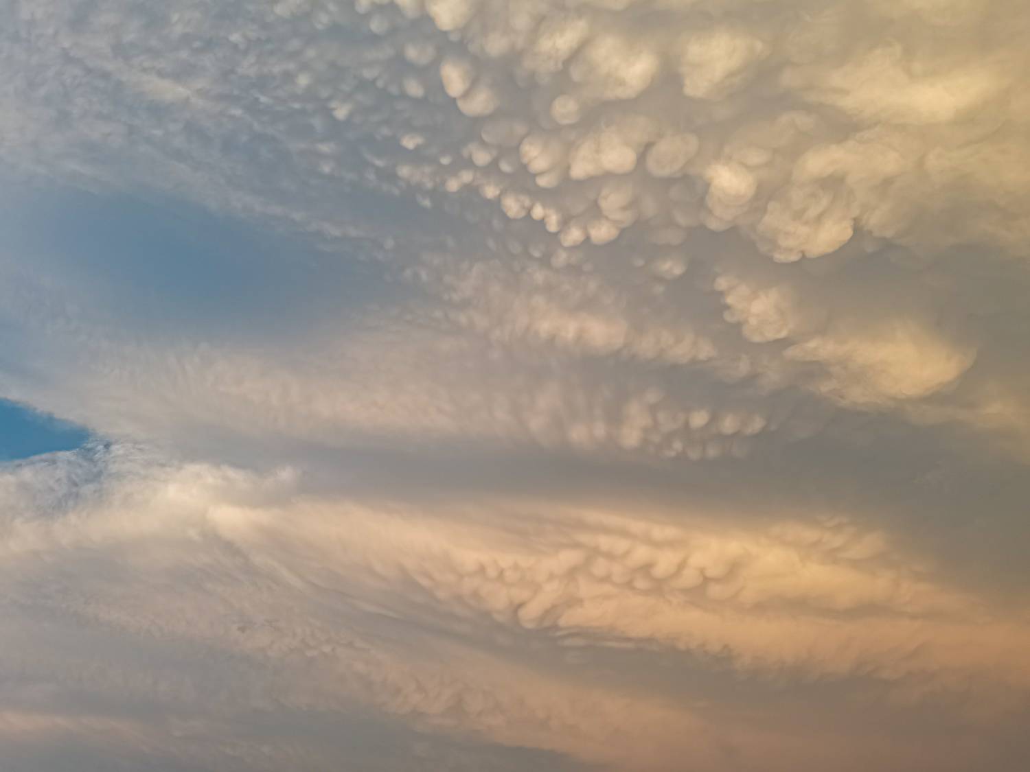 Photo #8288800