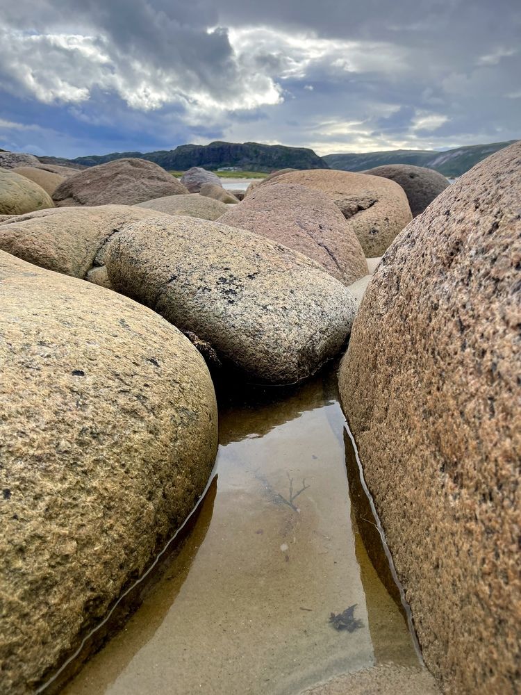 Фотография автора Юлия Шумейко