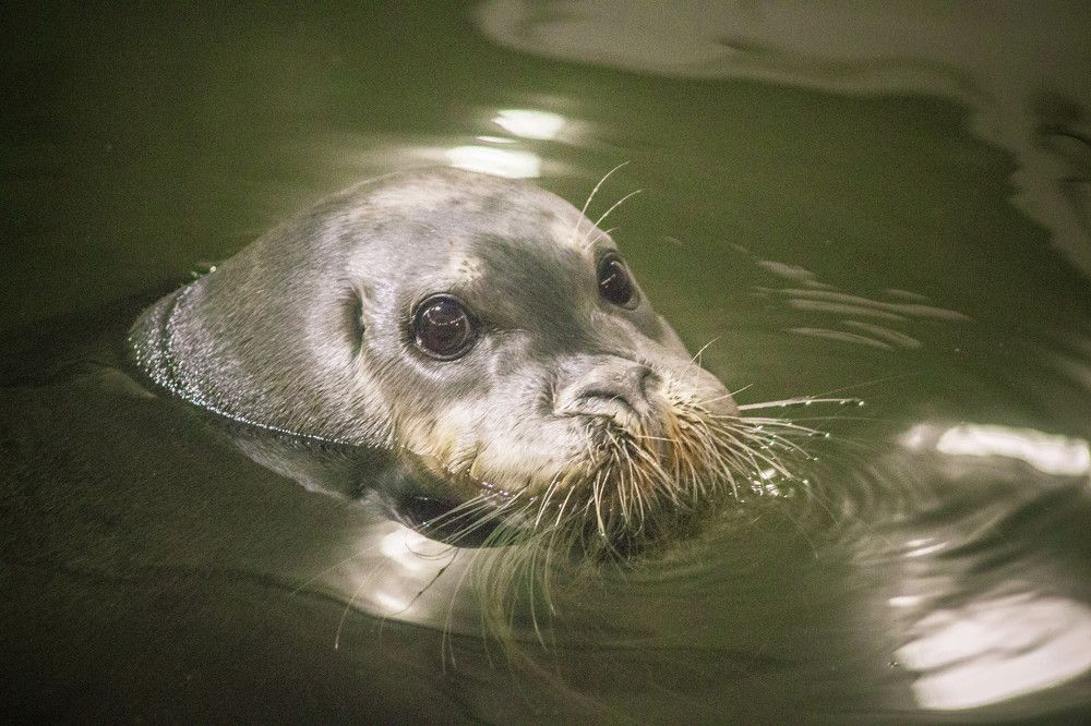 Photograph by Антон