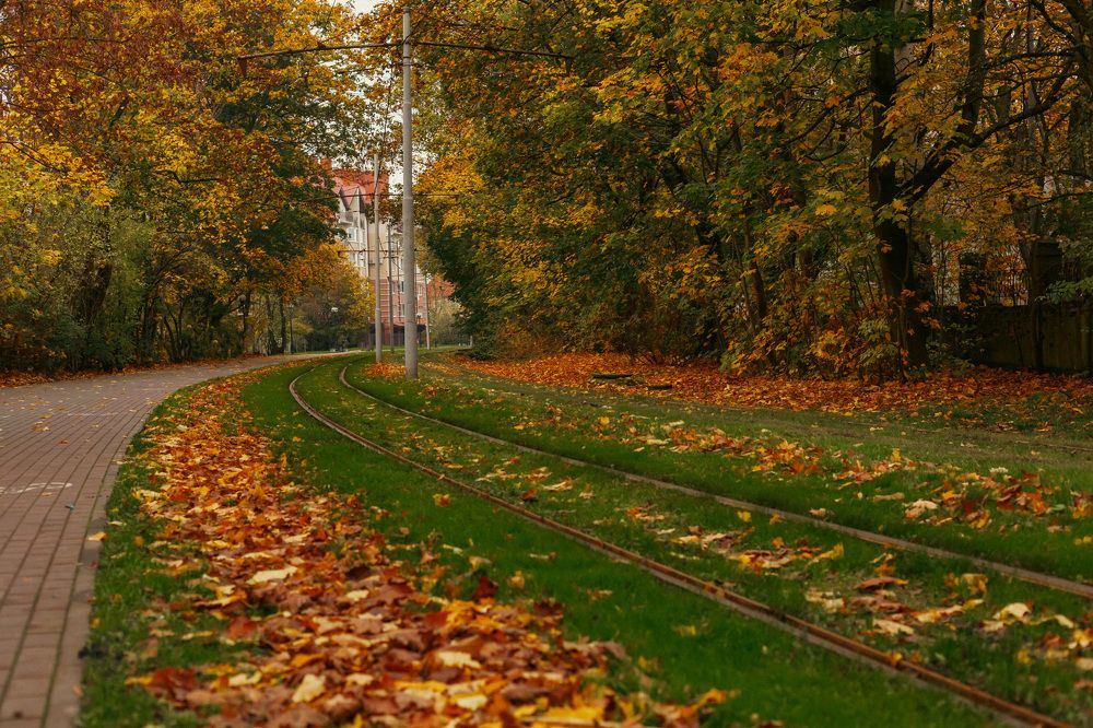 Photograph by Дмитрий Грошиков