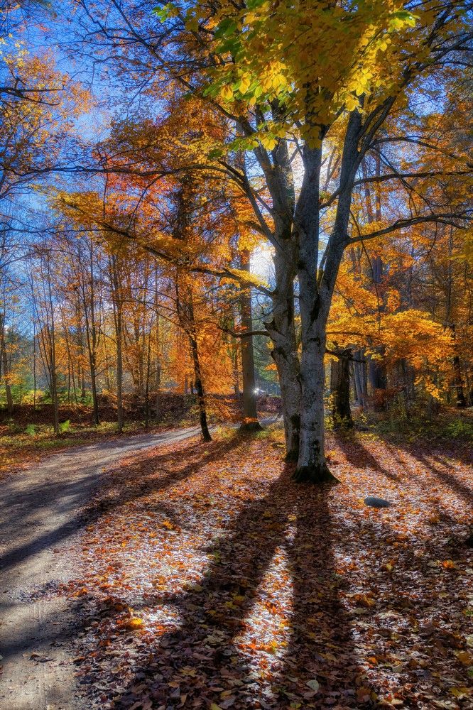 Photograph by Jānis Sērdienis