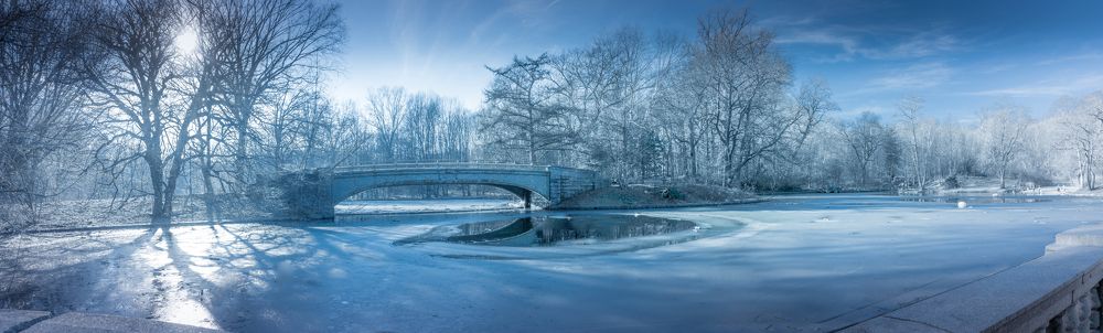 Photograph by Aleksandr Vaysberg