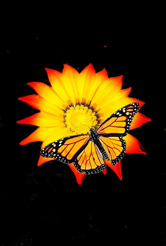 Photograph by Alen Brkić