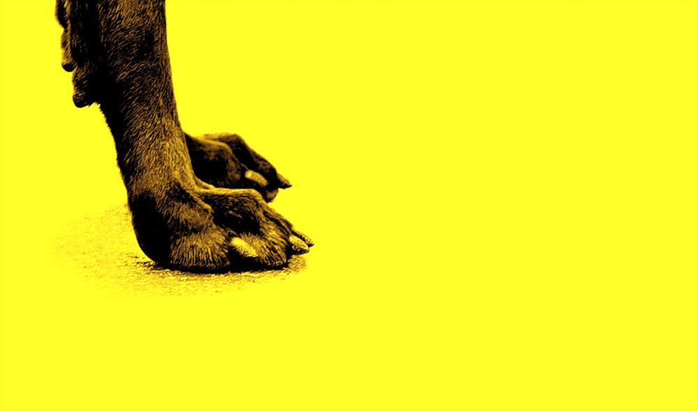 Photograph by Андрей Пахомов