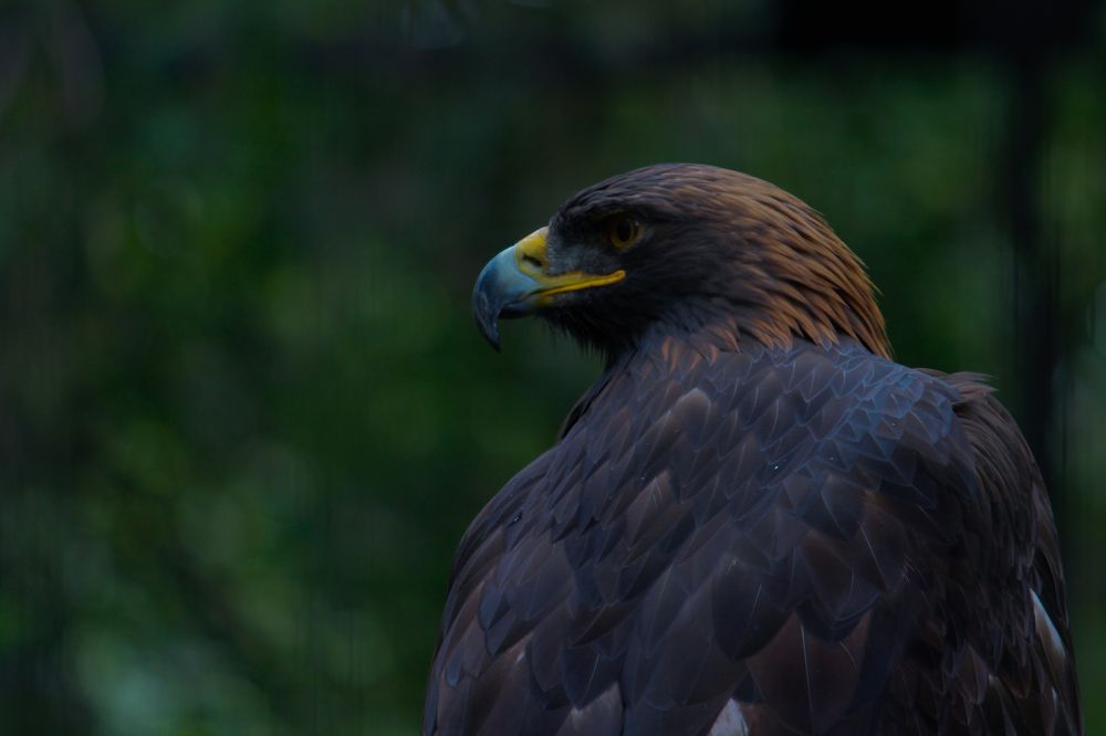 Фотография автора Raúl Emiliano Bazet Najera